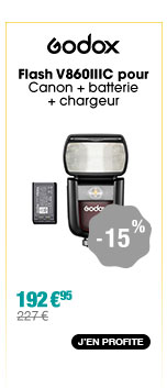 Godox Flash V860IIIC pour Canon + batterie + chargeur 