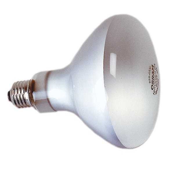 Lampe Photoflood 500W - KAI3125