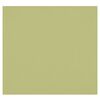 Image du Toile de fond infroissable X-Drop - Light Moss Green (8' x 8')