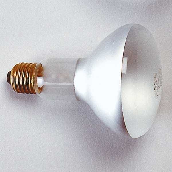 Lampe Photoflood, 150 W, 230 V, E27, 3200 K, avec réflecteur - KAI3128